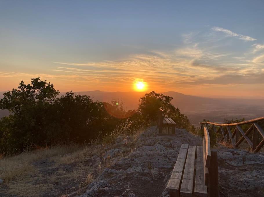 Il Cottage Di Stella Incantevole Appartamento Sant'Oreste Buitenkant foto