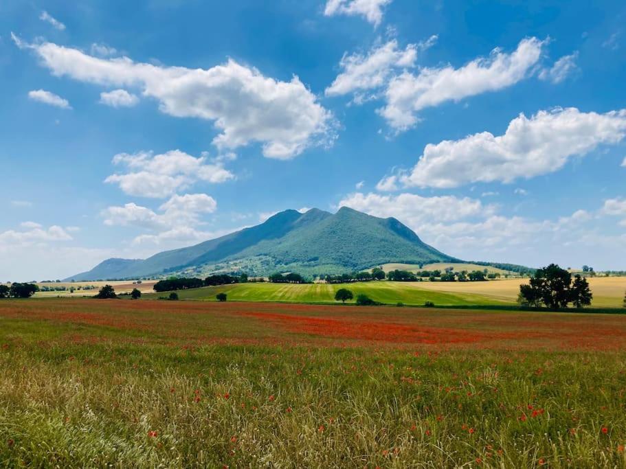 Il Cottage Di Stella Incantevole Appartamento Sant'Oreste Buitenkant foto
